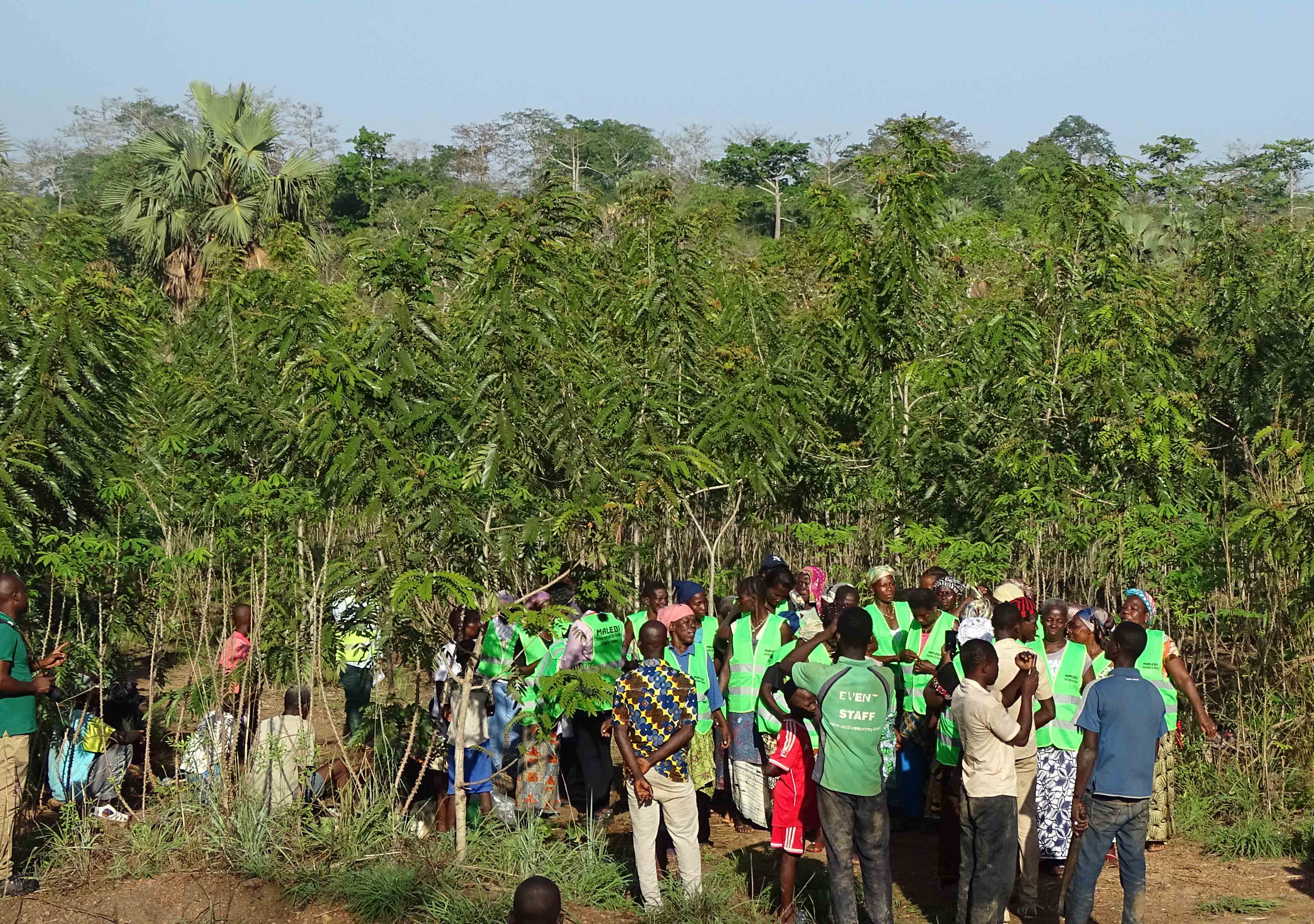Analyse de la stratégie de communication des ONG SOS-Forêts et MALEBI dans le processus du développement communautaire en Côte d'Ivoire