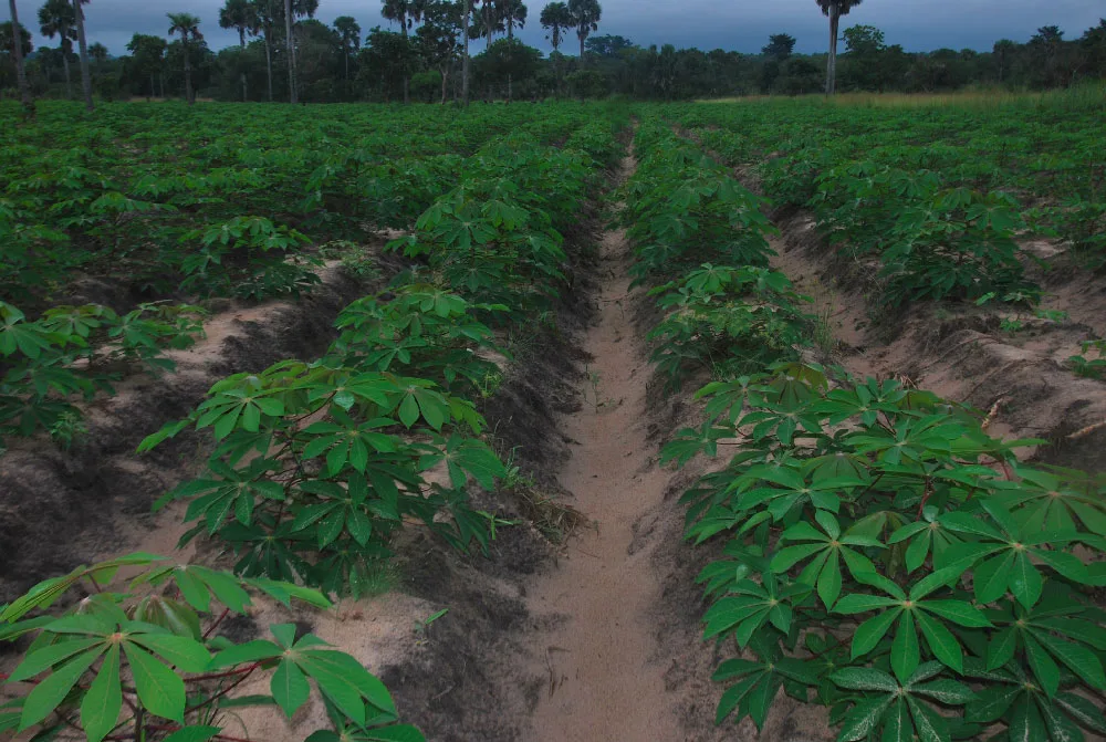 Sensibilisation et éducation
